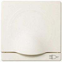 Лицевая панель Simon82 для 1-м. розетки 220В с крышкой слоновая кость картинка